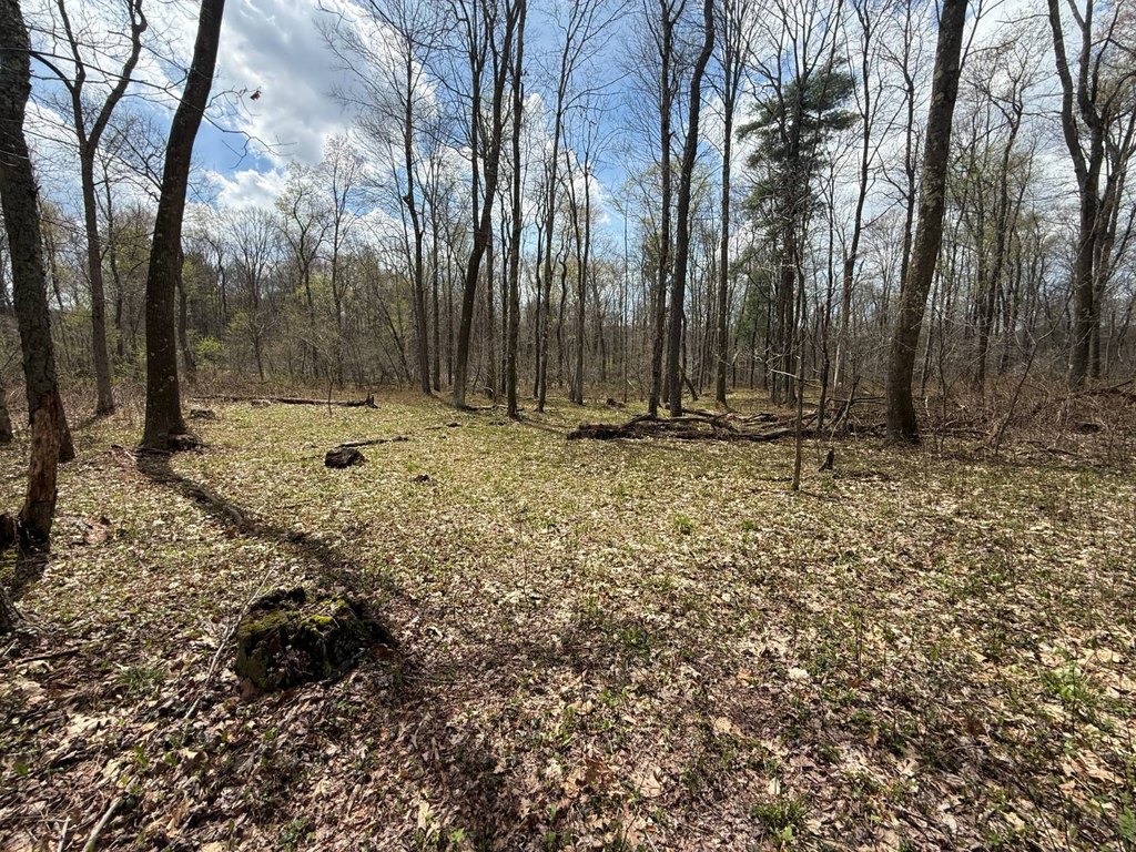 Picture 45