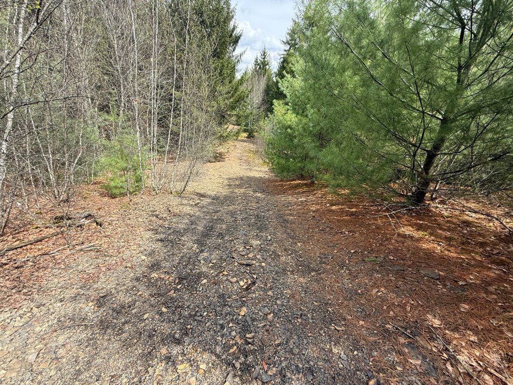 Picture 42