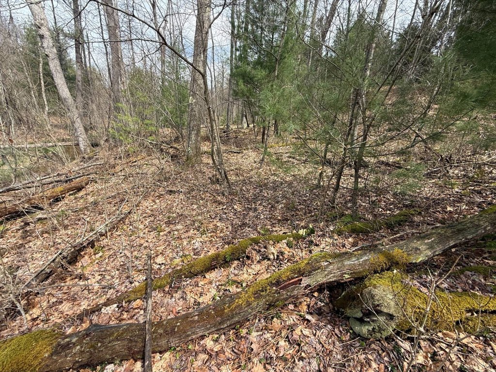 Picture 38