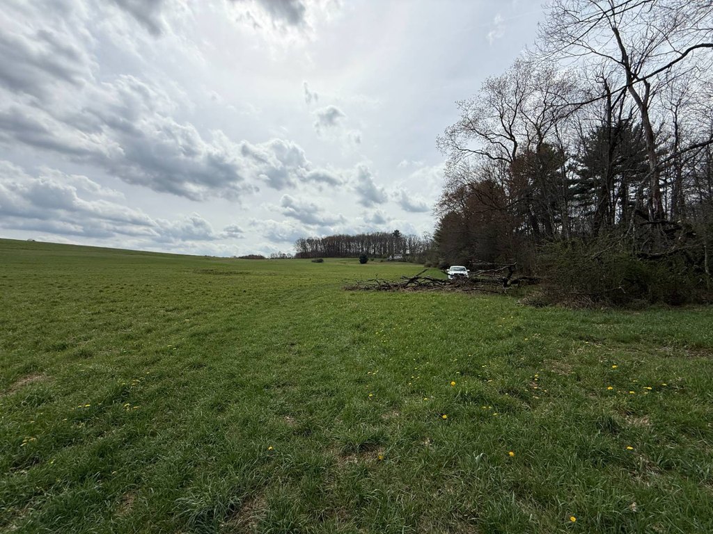 Picture 28