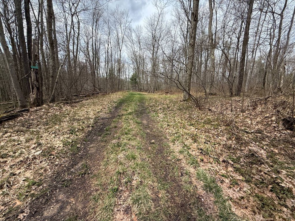 Picture 31