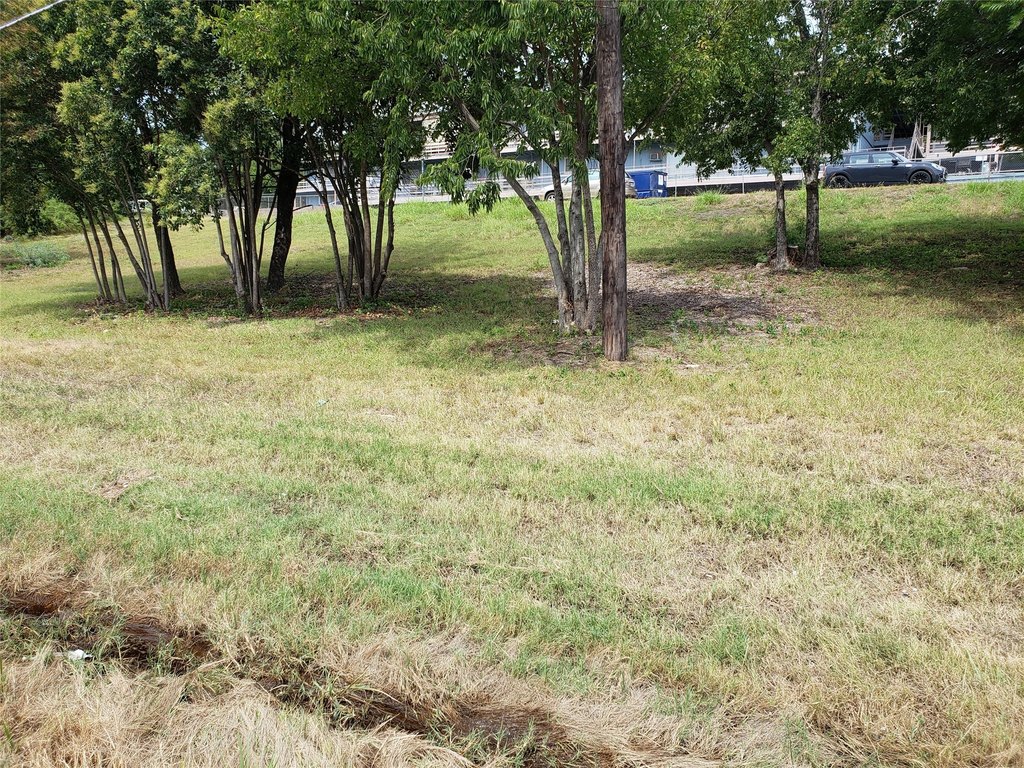 Picture 28