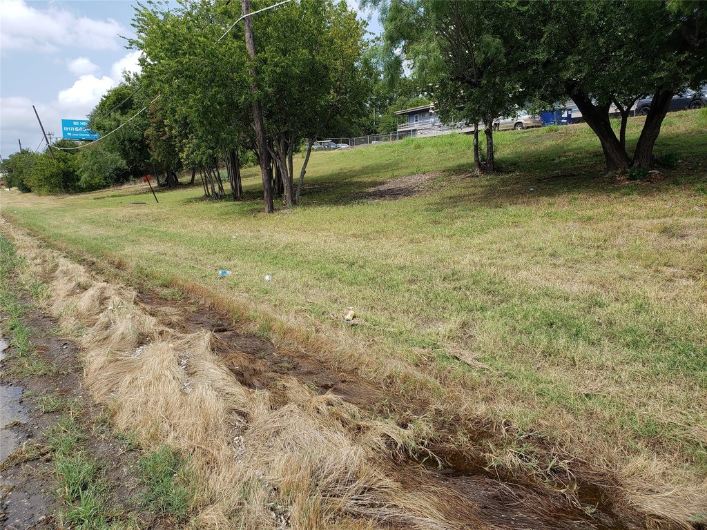 Picture 29