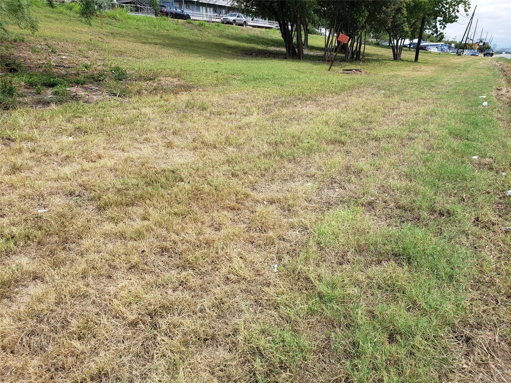 Picture 21