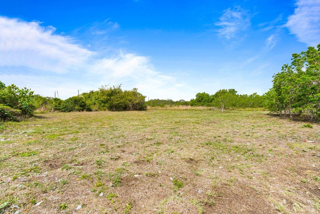 Picture 19
