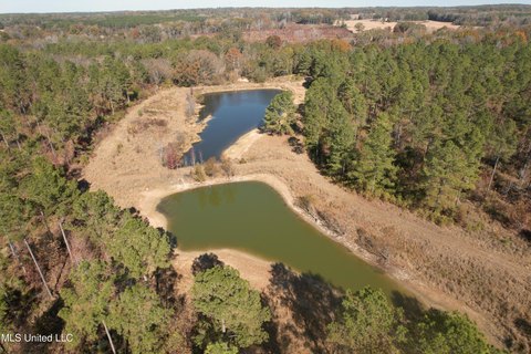 Recreational Land in Carrollton, MS