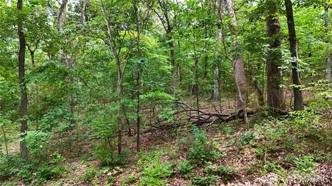 LAND - Hillsboro, MO