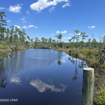 Waterfront Land with Gulf Access