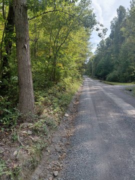 Land, Elkton, VA