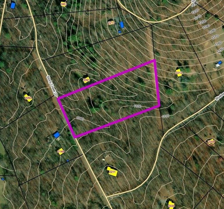 Picture 4