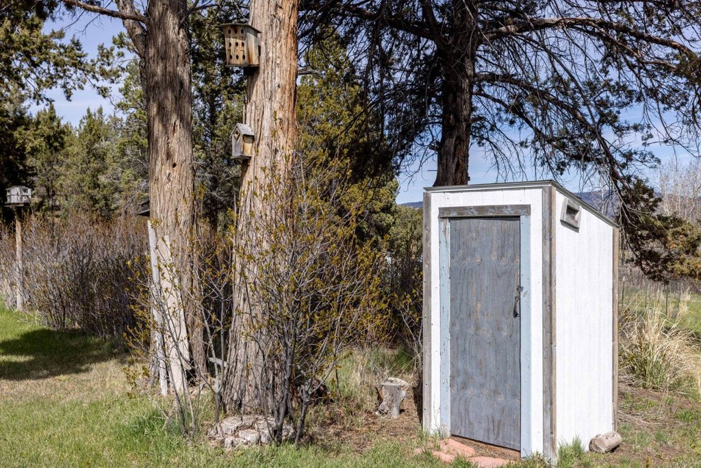 Picture 42