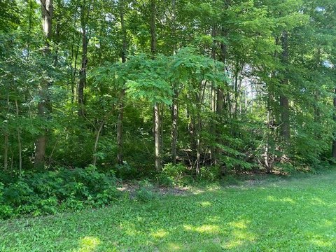 Residential Lot Near Castle Rock