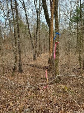 Mena, AR Wooded Acreage