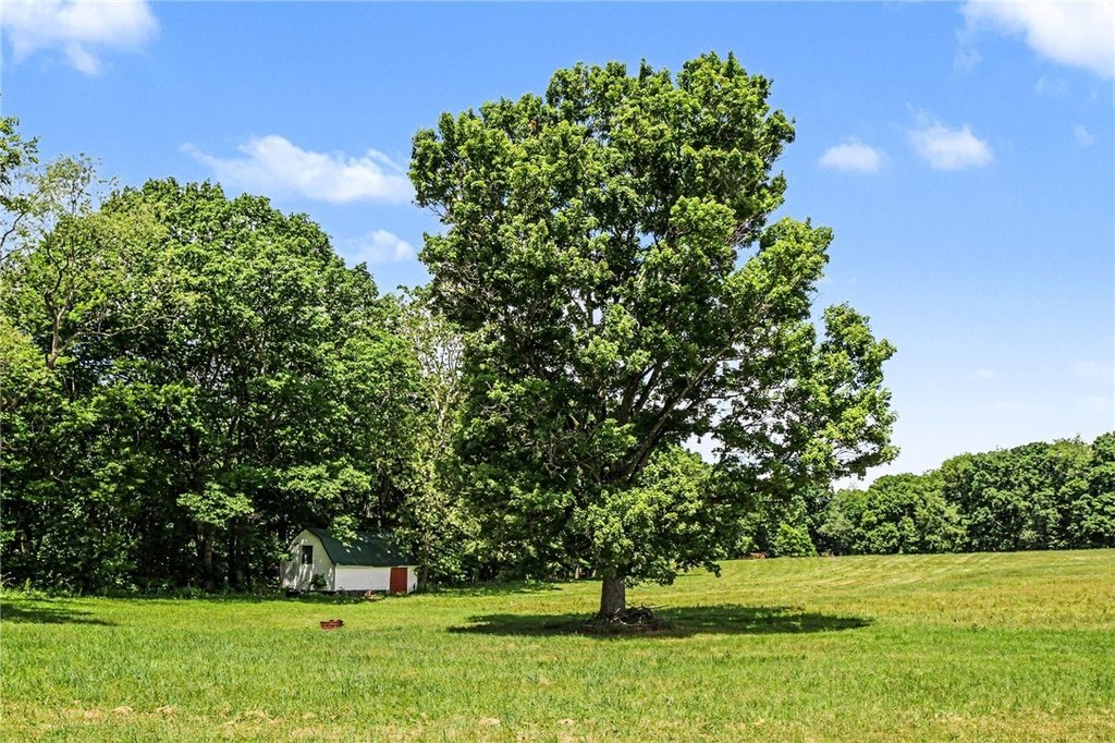 Picture 10