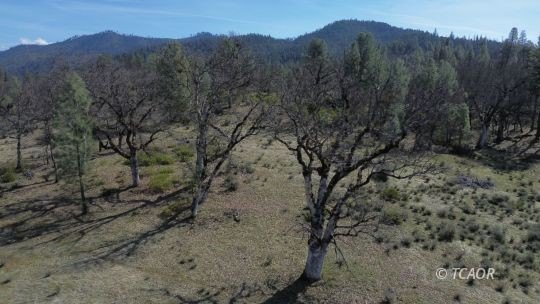 Hayfork Acreage with Mountain Views