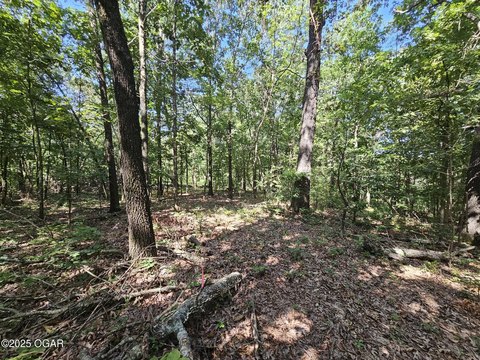 65 Acres of Ozark Timber