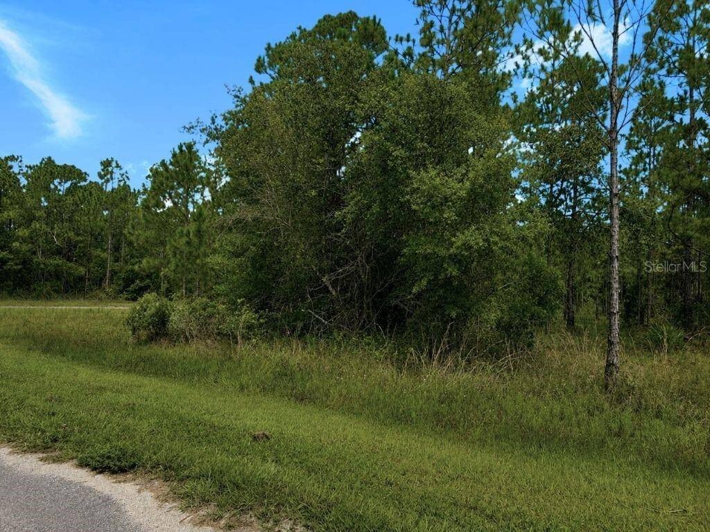Picture 6
