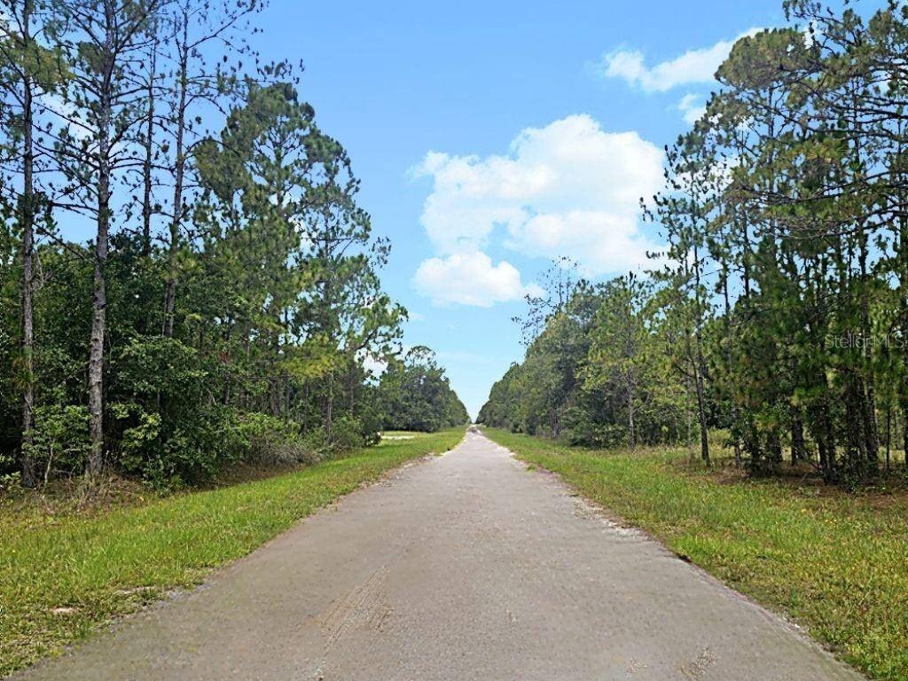 Picture 10