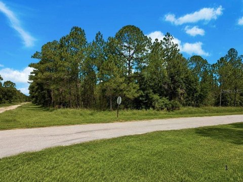 LAND - Indian Lake Estates, FL