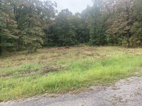 Vacant Land, Greers Ferry, AR