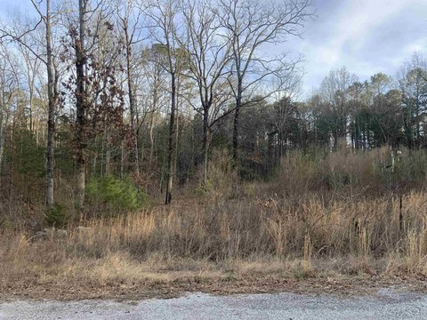LAND - Greers Ferry, AR