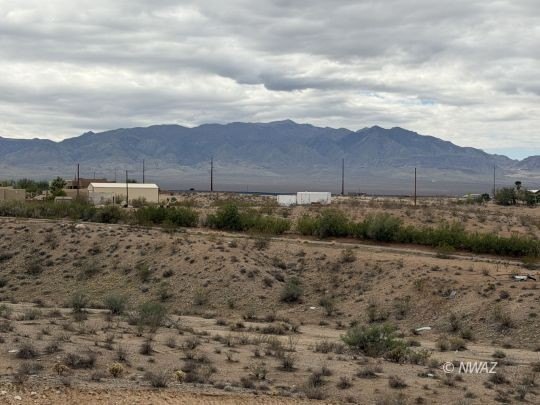 Picture 15