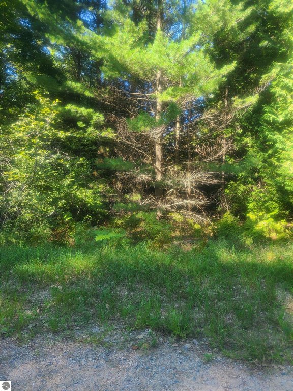 Picture 14