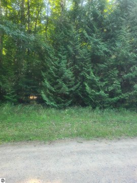 Vacant Lot/Land, Oscoda, MI