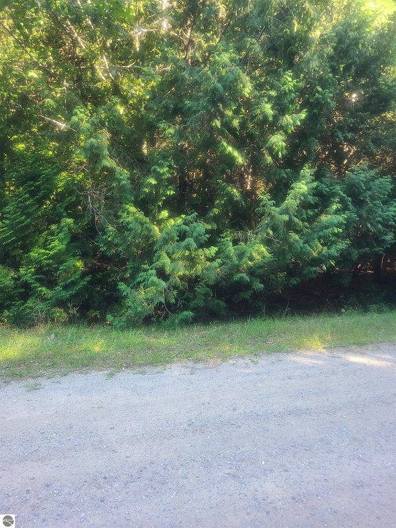 Picture 4