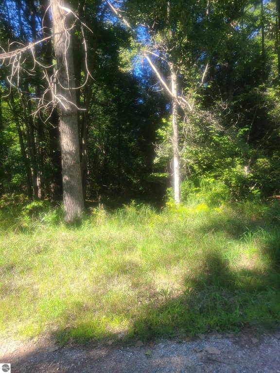 Picture 18