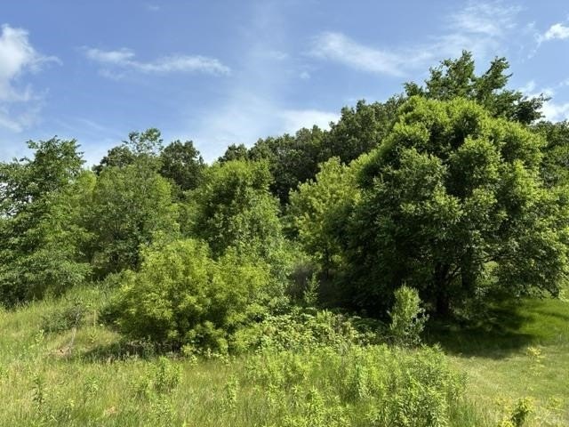 Picture 10