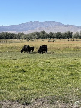 Land, Goshen, UT