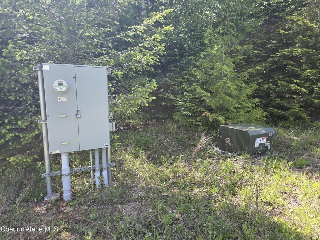 Picture 6
