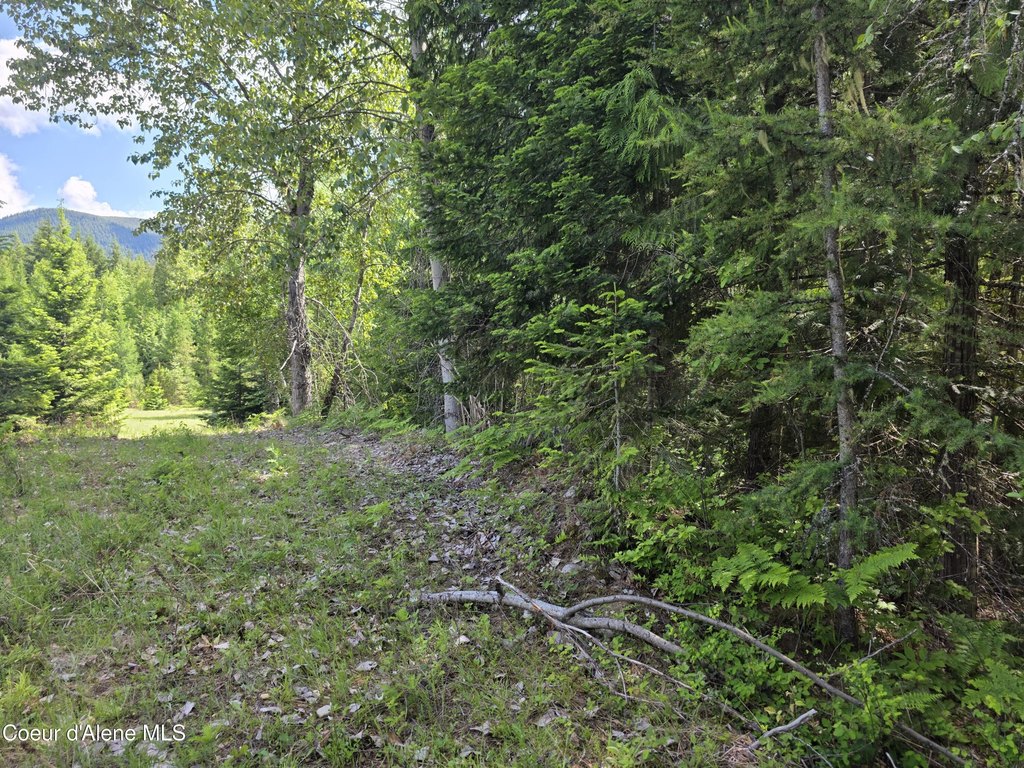 Picture 26