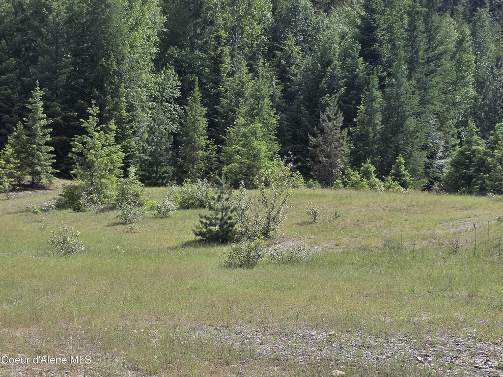 Picture 38