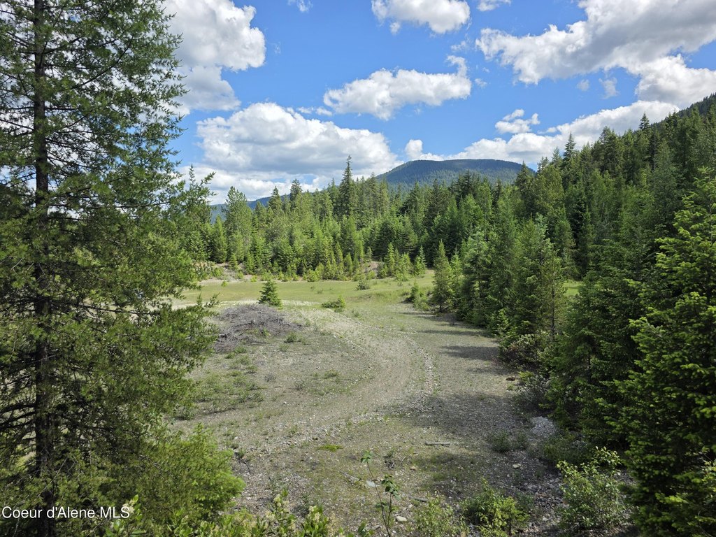 Picture 29