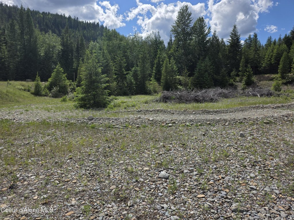 Picture 36