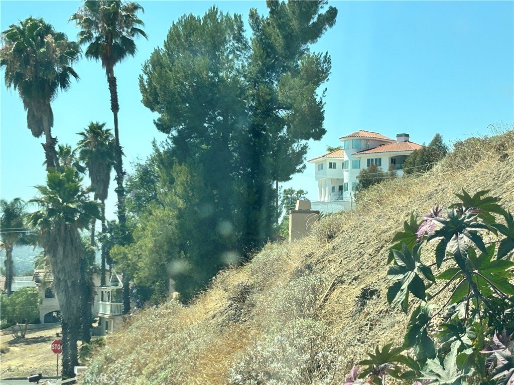 Picture 11