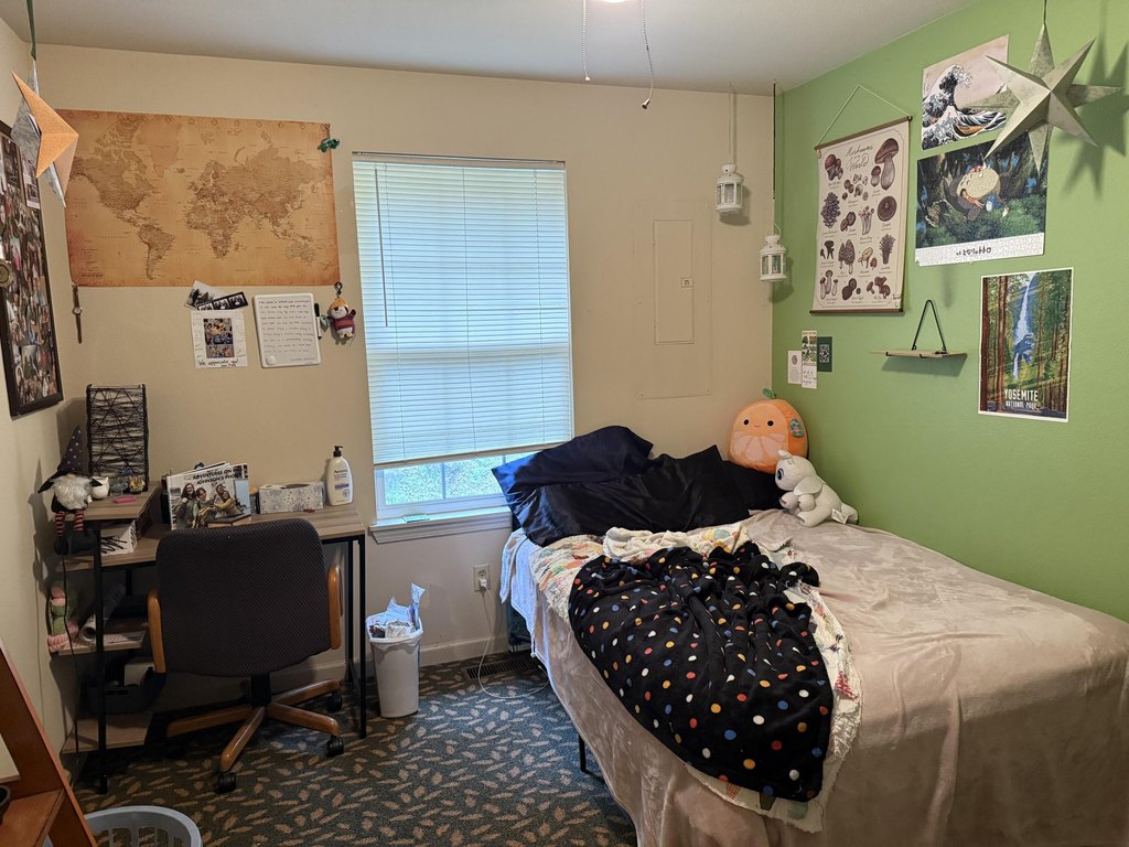 Picture 42