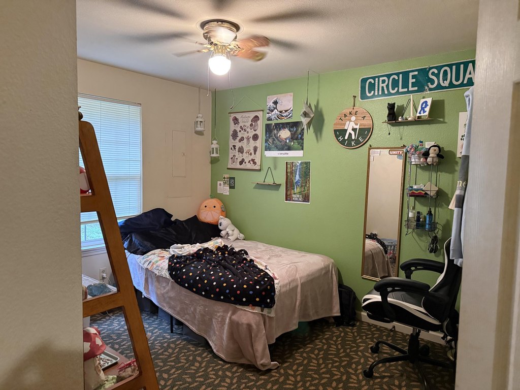 Picture 41