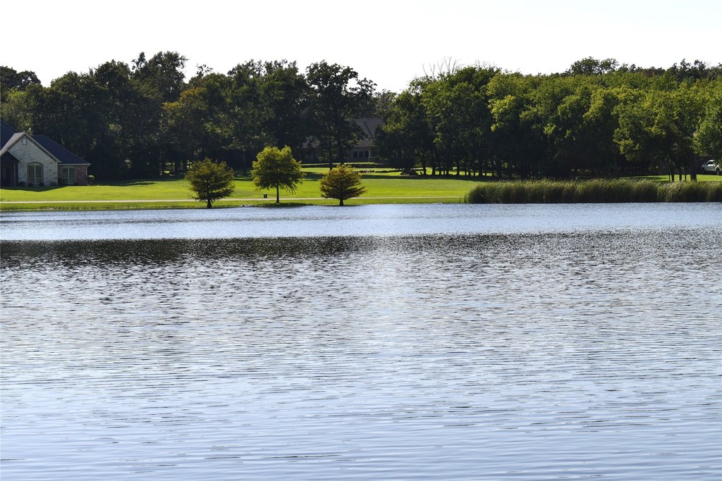 Picture 23