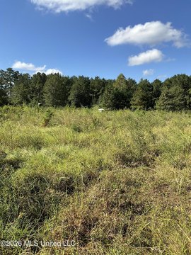 Land, Liberty, MS
