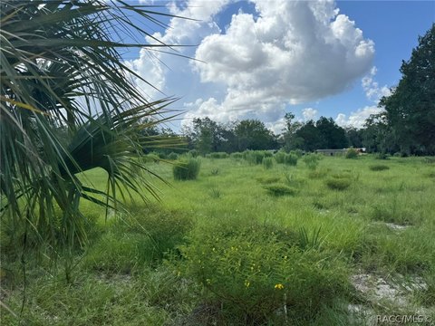 Land, Crystal River, FL