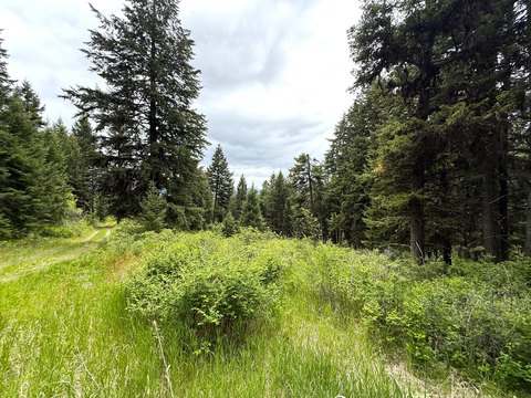 Land, OROVILLE, WA
