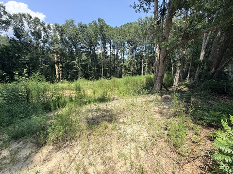 Land, Sumter, SC