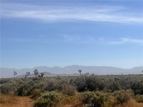Agricultural-Residential Vacant Land