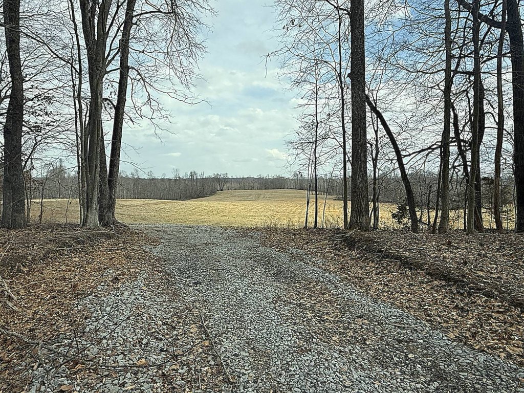 Picture 23