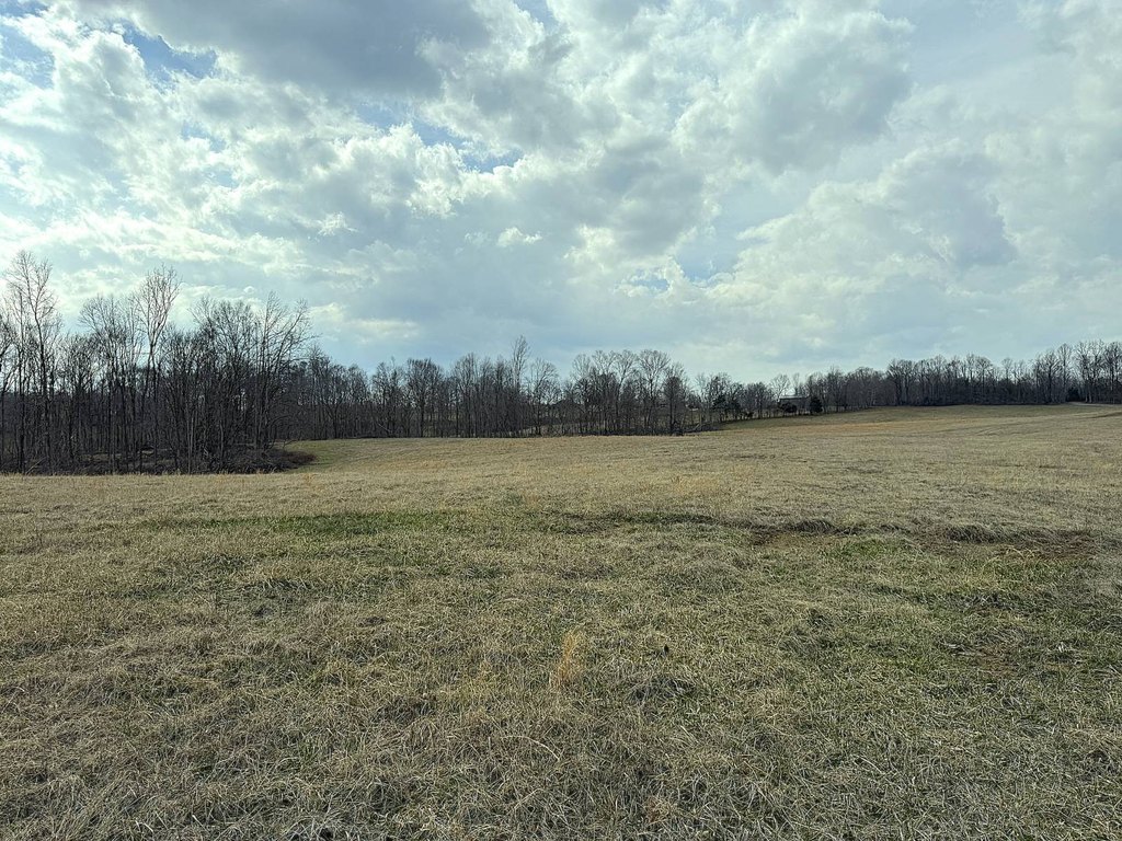 Picture 22