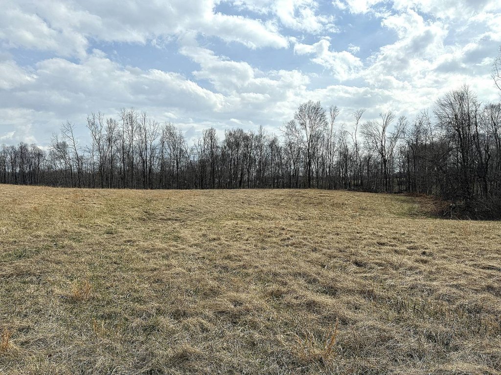 Picture 19