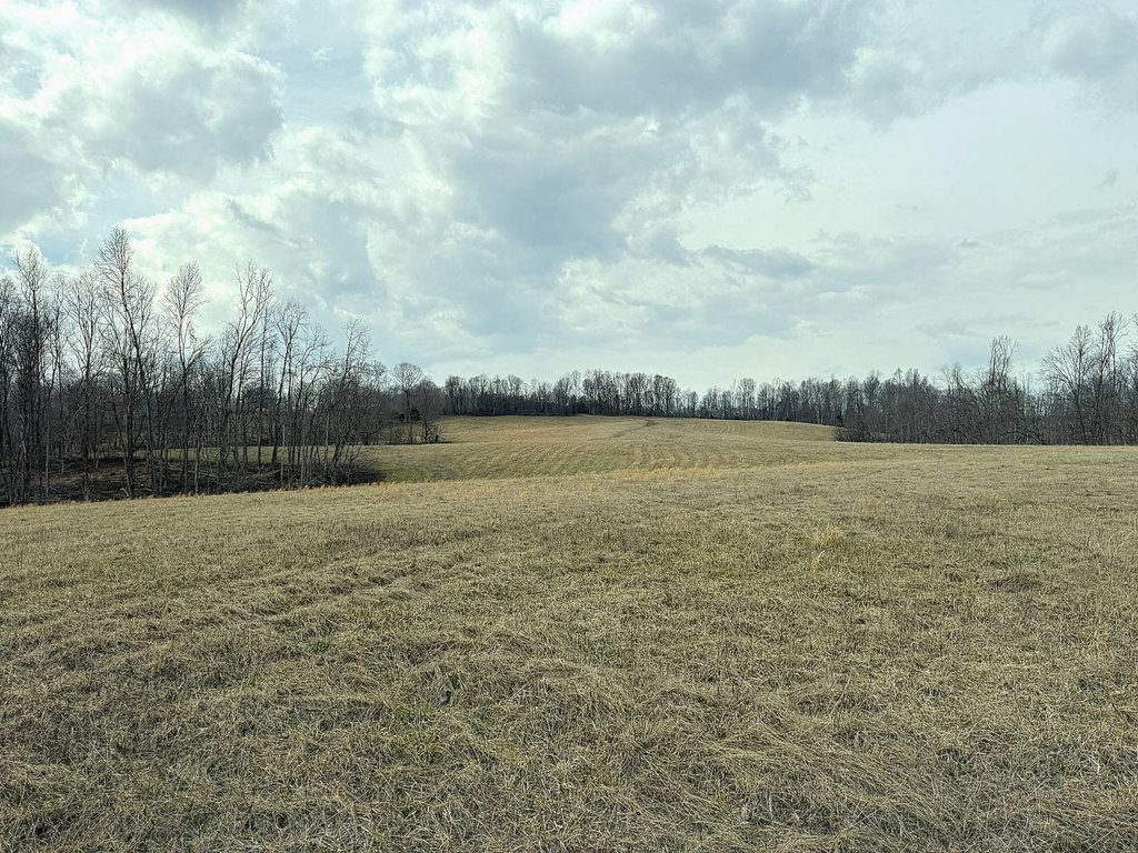 Picture 21